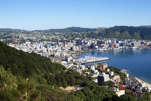 Wellington Panorama View
